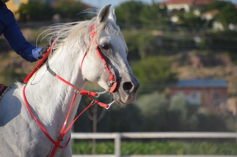 Malkara'da Spor Aktiviteleri Malkara'da Spor Aktiviteleri